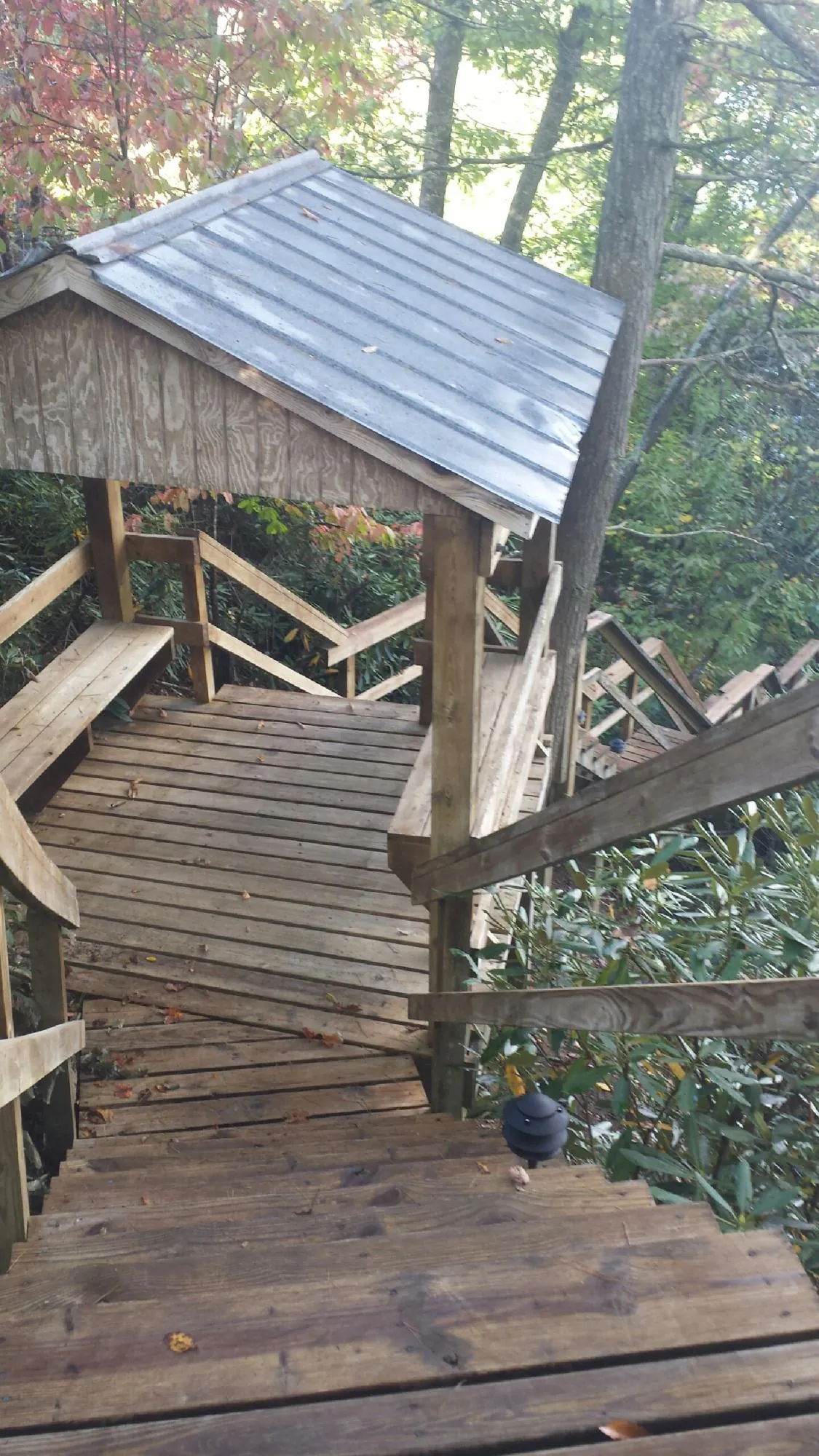 Metal roofed shelter over wooden steps on a wooded walkway — Skylight Repair & Installation work by our crew in Deridder